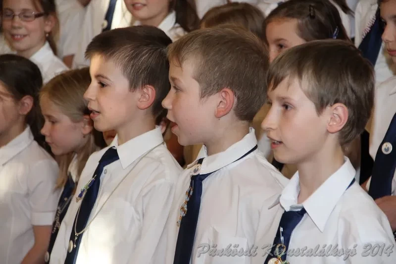 punkosdi 2014 06 06