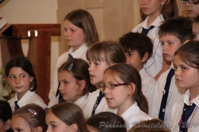 punkosdi 2014 06 06
