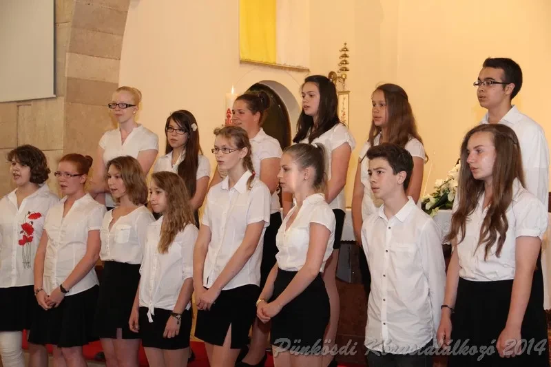 punkosdi 2014 06 06