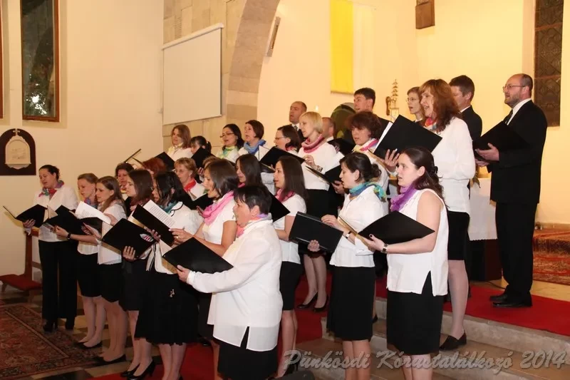 punkosdi 2014 06 06