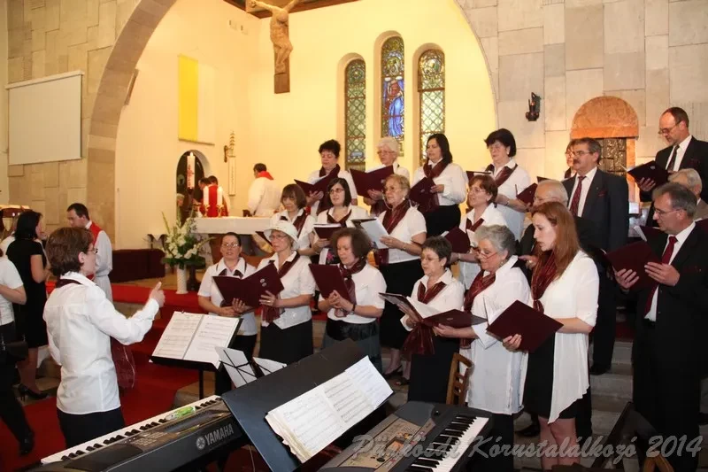 punkosdi 2014 06 07