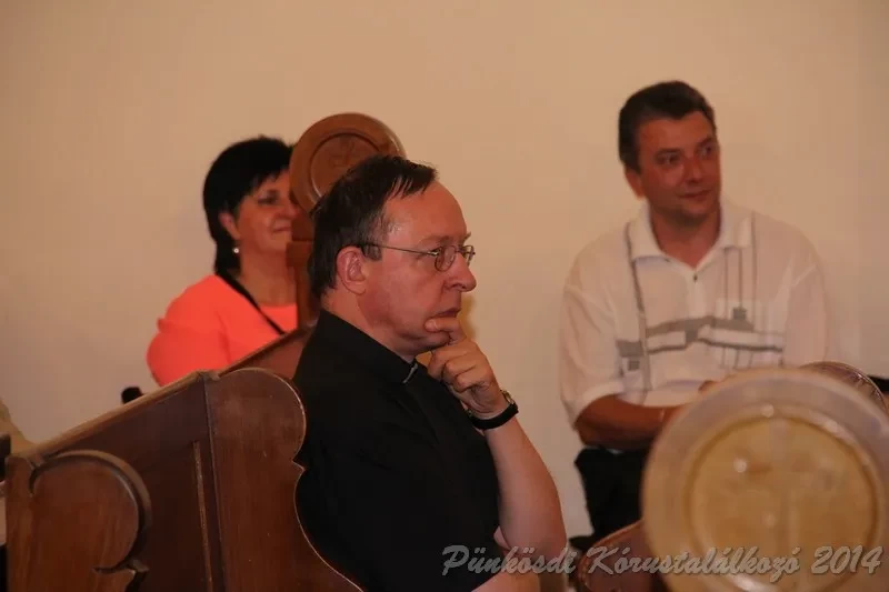 punkosdi 2014 06 07
