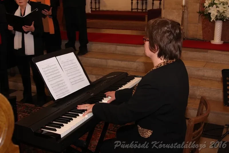 punkosdi 2016 05 13