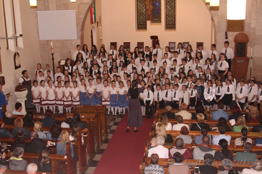 punkosdi 2018 05 17.jpg