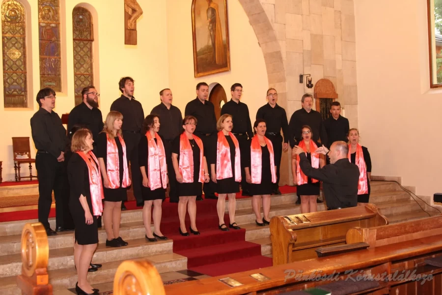 punkosdi 2018 05 17.jpg