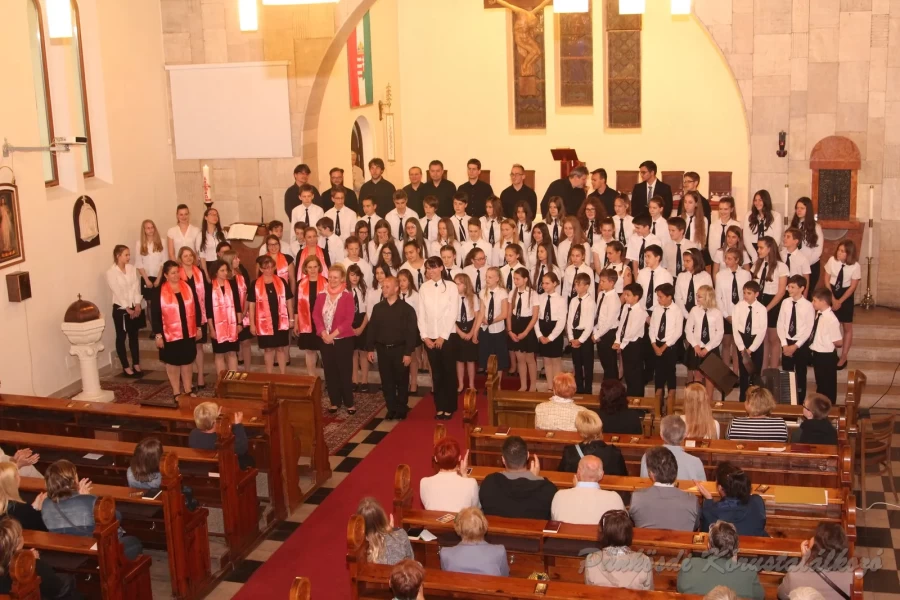 punkosdi 2018 05 17.jpg